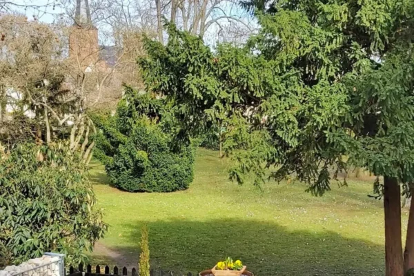 Blick von der Ferienwohnung Parkblick auf den Bühlschen Park in Deidesheim mit großzügiger Grünfläche, altem Baumbestand und der Kirche im Hintergrund.